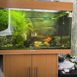 Jewel Rio 125 fish tank with stand