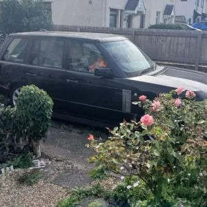 2006 Land Rover Range Rover Estate - Image 3