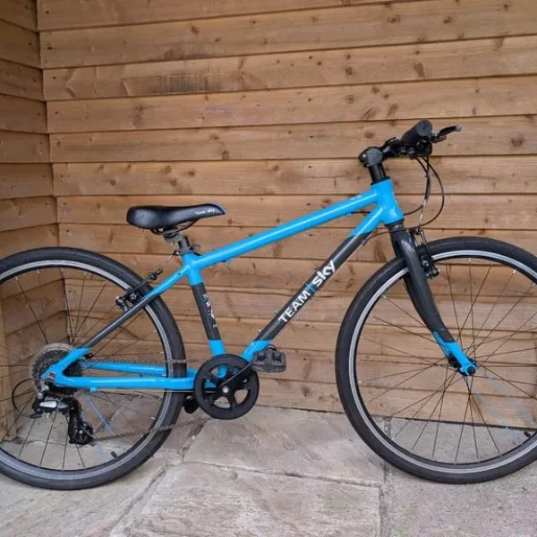 26 inch Frog bike with SKY colors