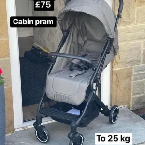 Hauck Travel N Care cabin approved pram pushchair dark olive