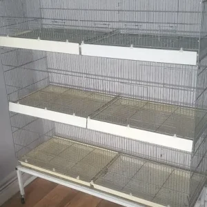 Domus Mulinari bird cages