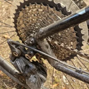 Trek Dual Sport + Electric assisted bike
