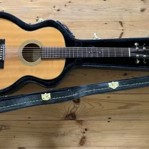 Recording King ROS-10 guitar - Image 2