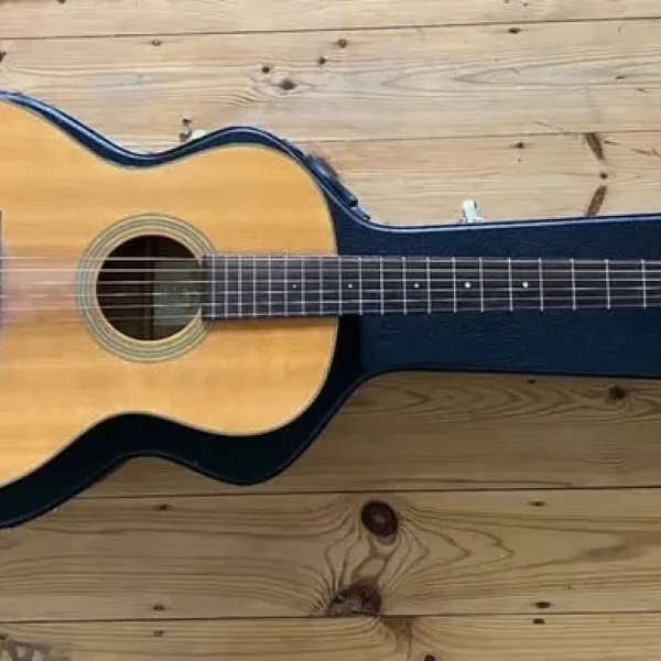 Recording King ROS-10 guitar