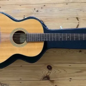 Recording King ROS-10 guitar