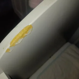 Cot Bed - Image 3