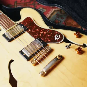 Vintage 1989 Epiphone Sheraton II - Image 2