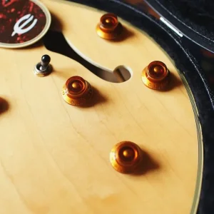 Vintage 1989 Epiphone Sheraton II - Image 3