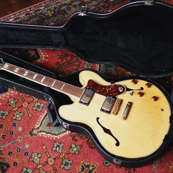 Vintage 1989 Epiphone Sheraton II