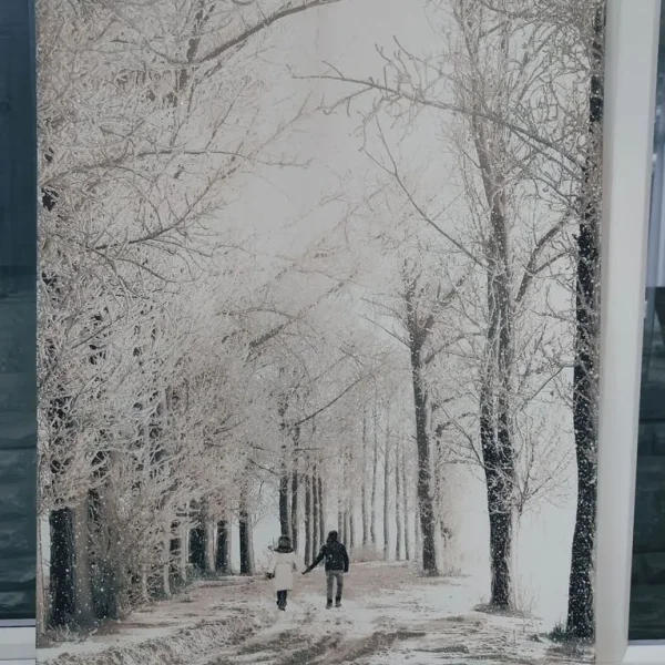Winter Walk in the Woods – Snow Scene Painting