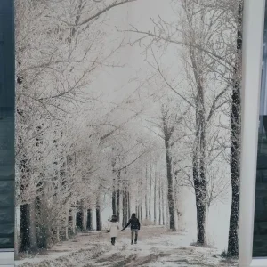 Winter Walk in the Woods – Snow Scene Painting