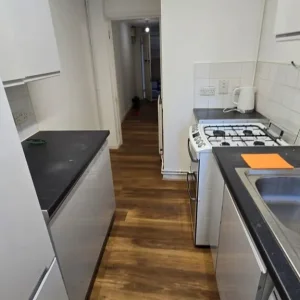 1 bed flat on lower ground floor