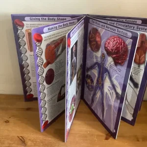 Human Anatomy Book with Jigsaw Puzzles - Image 3