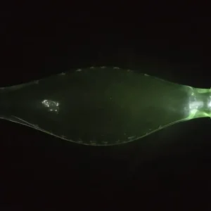 Uranium Glass A1 Hygienic Feeder - Image 4