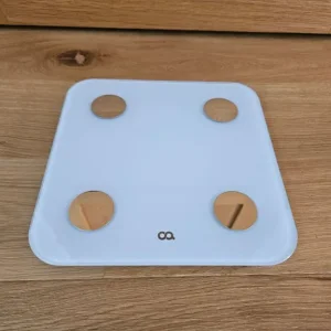 Body Weight Scale