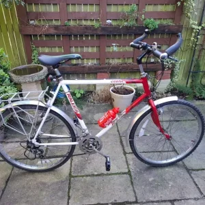 Vintage Raleigh Cobra Mountain Bike (1980s) - Image 2