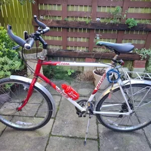 Vintage Raleigh Cobra Mountain Bike (1980s)