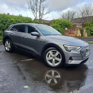 2020 Audi e-tron 50 Technik Quattro Estate - Image 4