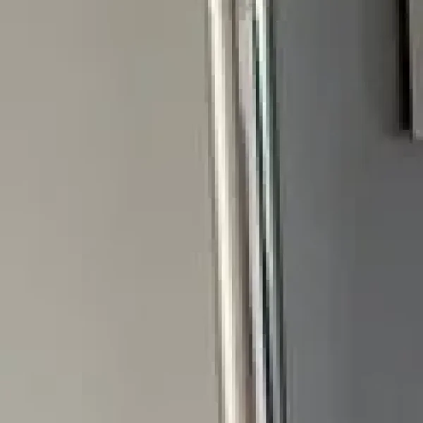 Fitness pole