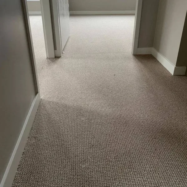 new carpet