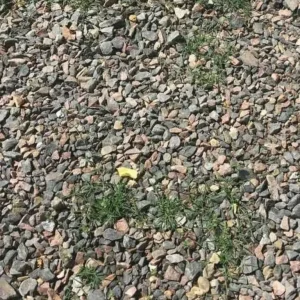 Weed Wacker Services - Image 2