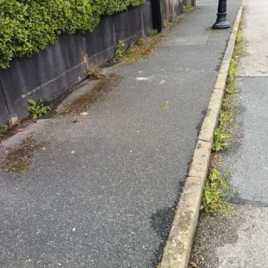 Weed Wacker Services - Image 4