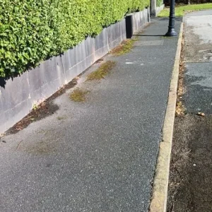 Weed Wacker Services - Image 5