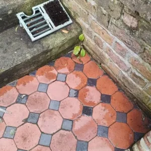 Weed Wacker Services - Image 7