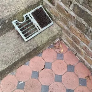 Weed Wacker Services - Image 8