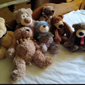 Gift Company Teddies - Image 2