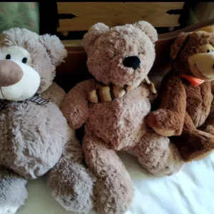 Gift Company Teddies - Image 3