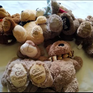 Gift Company Teddies - Image 4