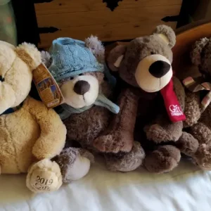 Gift Company Teddies
