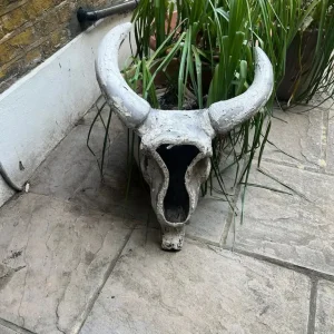 Cast bull’s head - Image 2
