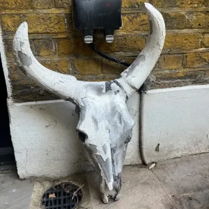Cast bull’s head