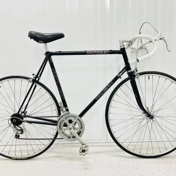 Raleigh Record Size/L Fully Serviced 10 Speed Road Bike