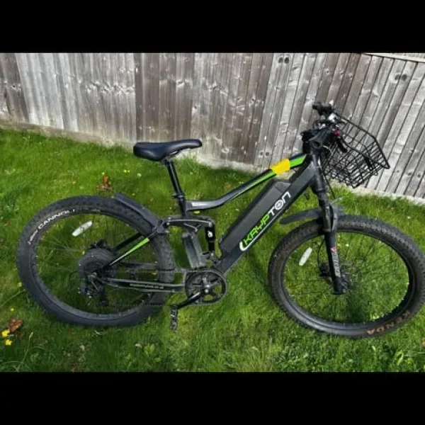 Electric mountain bike