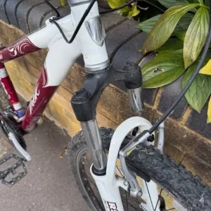 Girls/Ladies Small Mountain Bike - Image 2