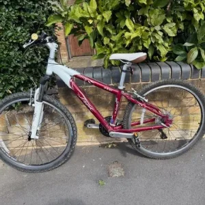 Girls/Ladies Small Mountain Bike - Image 8