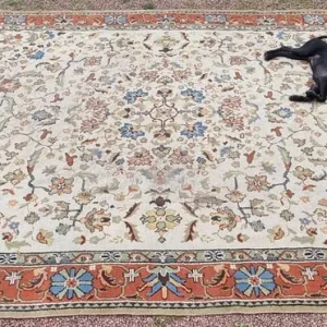 Early 20th Century Persian Tabriz Northern Iranian Style Country House Rug - Image 2