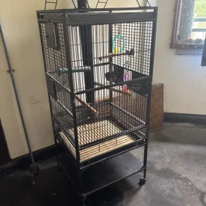 Large bird cage