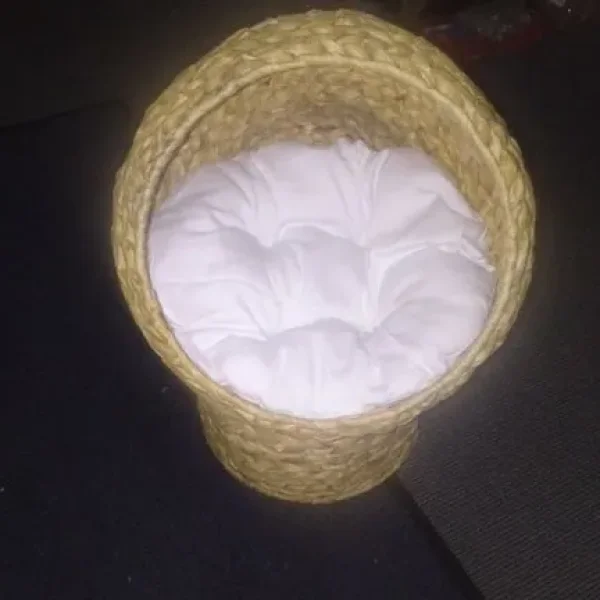 Cat House with Banana Leaf Top and Cylindrical Base