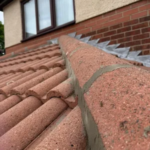 Bricklaying and painting services - Image 4