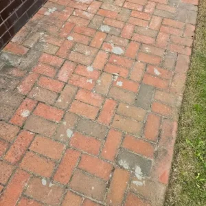 Bricklaying and painting services - Image 6