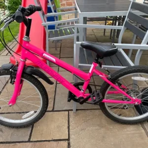 Muddyfox Synergy 20 bike