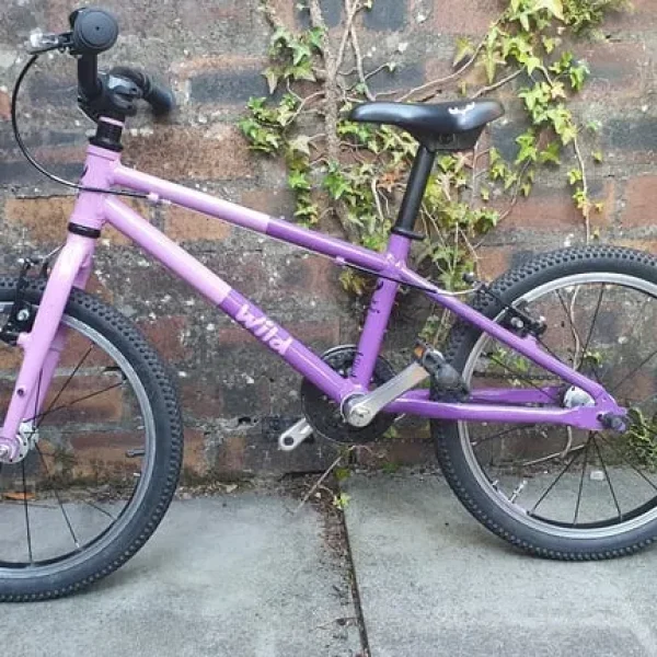 Wild Bike 18" Violet
