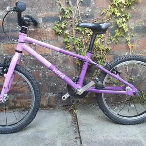 Wild Bike 18" Violet