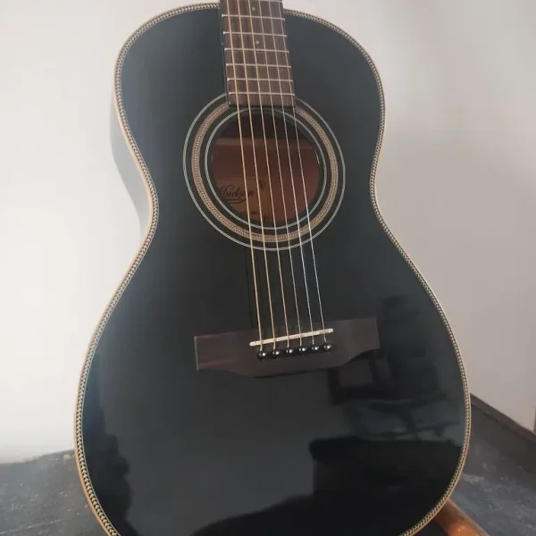 Parlour guitar with case and extras