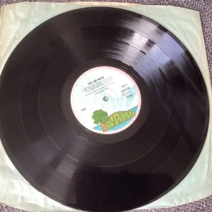 Fire and Water LP record - Image 8