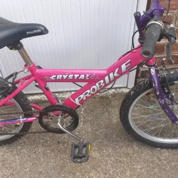 HIS N HERS 19INCH CHILDREN'S BIKES